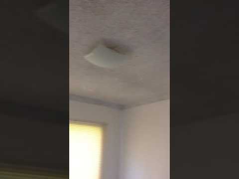 Ingoing 66/16 Derby Street. Minto