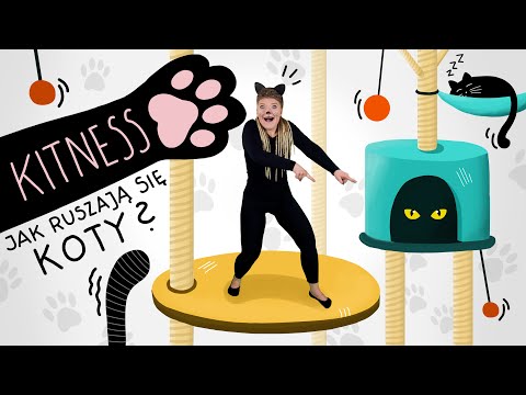 Co MIAU kot?🐈‍⬛ | Kitness - zabawa ruchowa (рухлива гра), ćwiczenia dla dzieci (вправи для дітей)