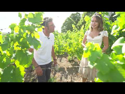 Expedition Mainschleife - Weinprinzessin Wipfeld