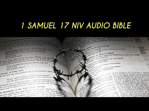 1 SAMUEL 17 NIV AUDIO BIBLE (with text)