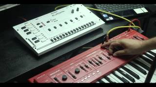 Video thumbnail for Interfacing Roland SH-101 with Analogue Solutions Europa Sequencer by zibbybone