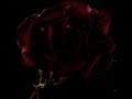 Romantic Homicide - D4vd (Slowed + reverb + Extended)