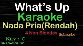 Download lagu WHAT’S UP- 4 Non Blondes|KARAOKE NADA PRIA(Rendah)​⁠ -Male-Cowok-Laki-laki@ucokku mp3