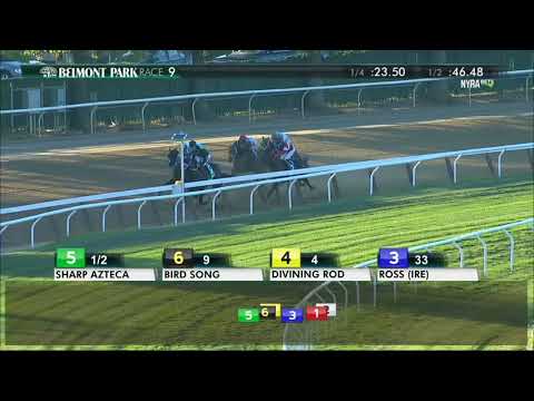 Sharp Azteca - 2017 Kelso Handicap