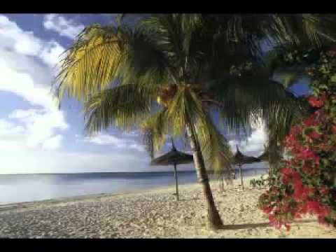 Evolozik - Atan lapli passer