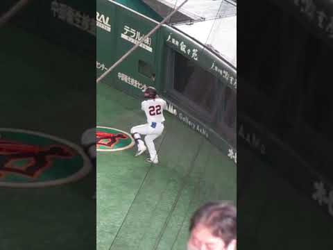 小林誠司ネクストバッターズサークルで待つ姿2023年3月18日オープン戦 読売ジャイアンツ対 日本ハムファイターズ