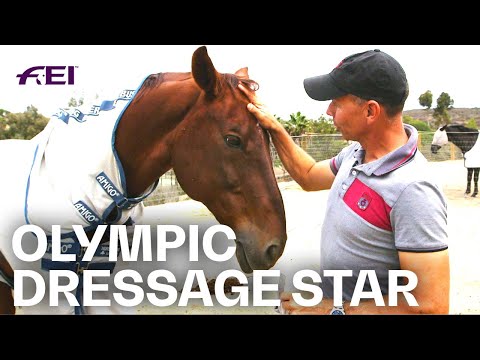Olympic Dressage Star Steffen Peters: "Horses are just incredible animals!" | Equestrian World