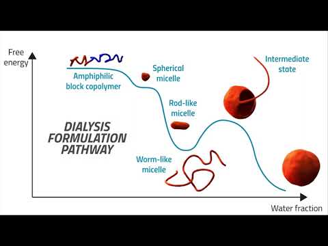 Monitoring 𝘪𝘯 𝘴𝘪𝘵𝘶 the self-assembly of amphiphilic block copolymers 𝐢𝐧 𝐧𝐞𝐚𝐫-𝐞𝐪𝐮𝐢𝐥𝐢𝐛𝐫𝐢𝐮𝐦 𝐜𝐨𝐧𝐝𝐢𝐭𝐢𝐨𝐧𝐬