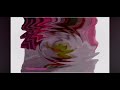 The Gummy Bear Song Long English Version In G Major 44 FIXED