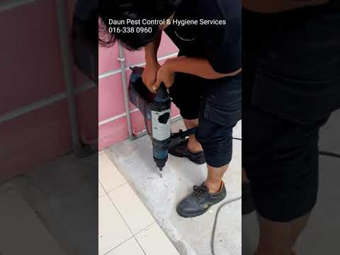 Drilling Bosch GBH 8-45DV - Daun Pest Control & Hygiene Services