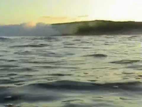 30*under shadow and feet in a fan shape episode I Tapuna