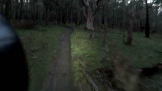 Fading light ride in Lysterfield Park