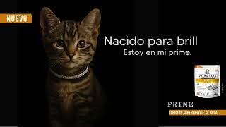 Prime Care. Nacido para brillar.