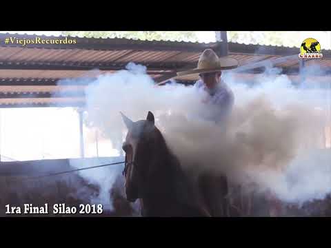3 de 3 Chiringas, Enrique Jiménez y Jorge Piña