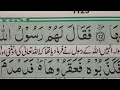 Surah Shams with urdu translation