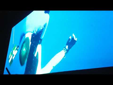 Grand bleu scène musicale