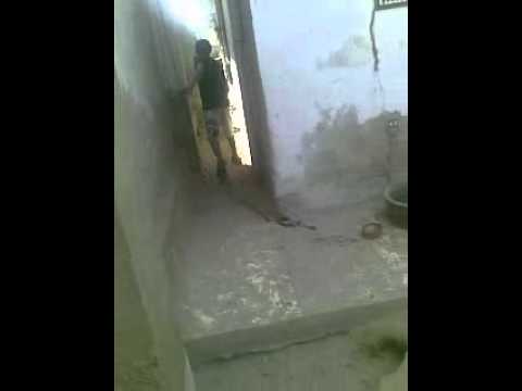 Me (Iftakhar) & Ali playing fetch with Ahsan