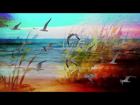 Hector Zazou ~ The Long Voyage [Suzanne Vega & John Cale]