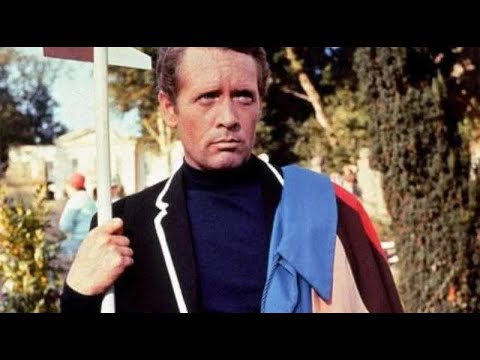 SEAGULL | Lionel Martin Live Solo |FESTIVAL LA GRANDE CÔTE EN SOLITAIRE