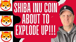 Shiba Inu Coin Price Prediction 🔥 Shiba Inu Price To EXPLODE SOON🚀 SHIB PRICE PREDICTION UPDATE!