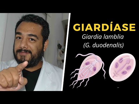 Giardia mens