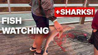 How To Enjoy FISHING Without Any GEAR // Cast & Shoot #5