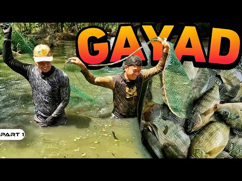 P1 - Paggayad ng Palaisdaan - EP2050