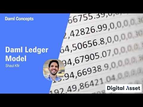 What is the Daml Ledger Model? [2021]