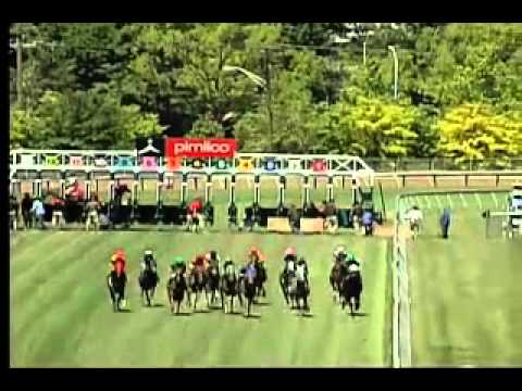 Pimlico 05/23/15 race 3