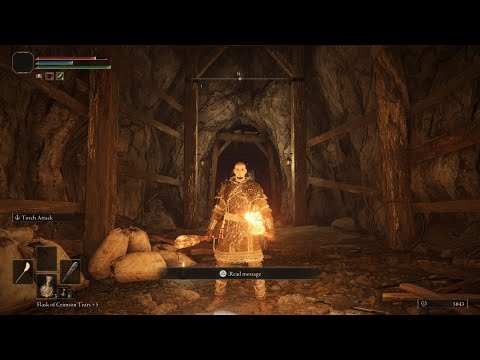 ELDEN RING: I Beat the Crystalian in Liurnia at Level 20 [Solo]