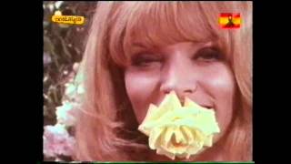 Pepa Bandera Lyrics English Translation