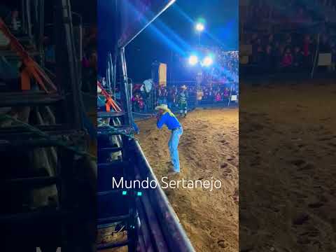 Alto do Rio Doce/MG #mundosertanejo #sertanejobrasileiro #rodeio #rodeo #rodeioemtouros #country