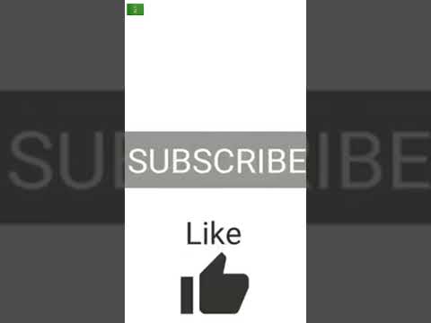 Minimale Animale / Miami Swim Week 2015 / Presentation Ep.1-1