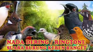 Download lagu KICAUAN PRENJAK NADA DERING RINGTONE SUARA BURUNG ... mp3