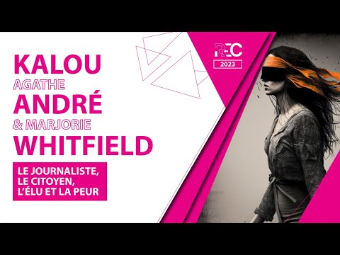 Le journaliste, le citoyen, l’élu et la peur