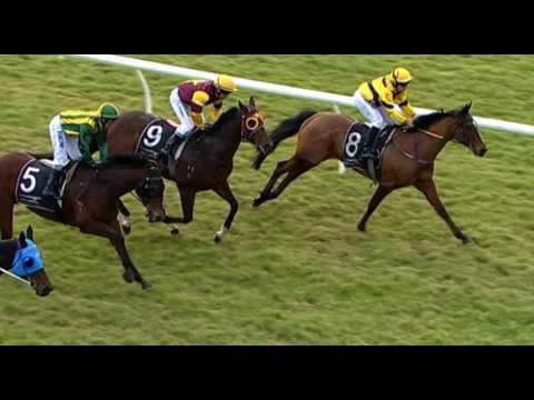 Belmont Park, 20/07/2016 - Race 8 - Coruscation - Paul Jordan & Craig Staples