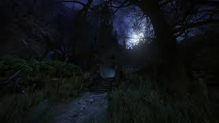 Miniature de la vidéo