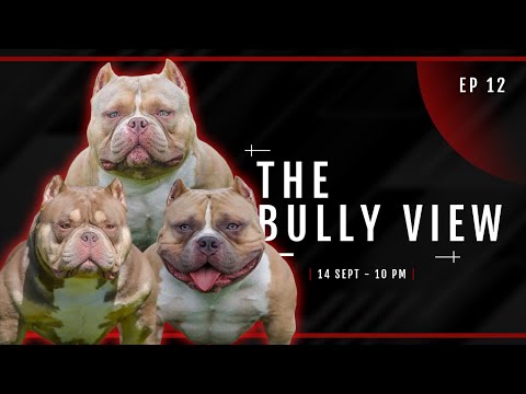 Da Golden Child vs. Trapzilla vs. R2-G2