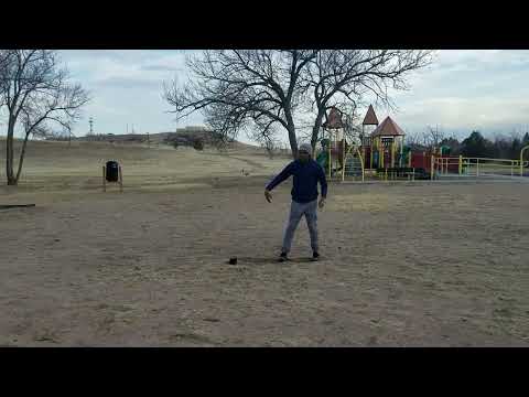 Wasted Education | Freestyle | Innissent