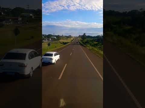 Ruta Nacional 14.  Desde Alem hacia Obera. #ruta #viajar #videoshort #misiones #argentina