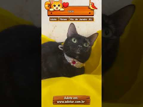 Vídeo de Lica