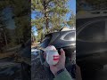 Happy Thanksgiving! From Big Bear, CA 🍻