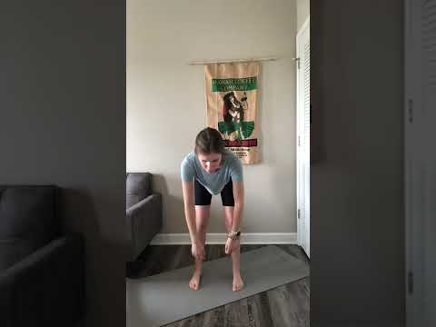 Swinging Arm Pendulums