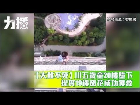 捉實19樓窗花成功獲救