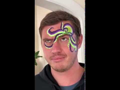 Promotional video thumbnail 1 for MetamorFaces Face Painting by Erin