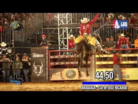 ARAGUAIA | Melhor Animal Ribeirão Rodeo Music Cutiano 2019