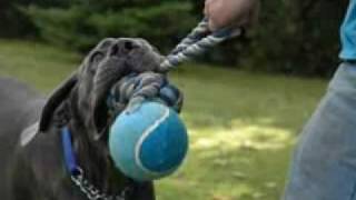 Alan Parsons - Turn of a Friendly Card (part 2)