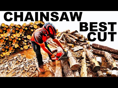 BEST FIREWOOD CUTTING IN THE WOODYARD... EVER!