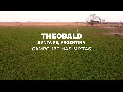 Campo MIXTO en VENTA de 160 hectáreas en Theobald, Argentina.