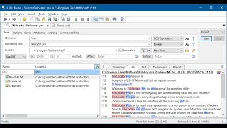 Agent Ransack YouTube Video